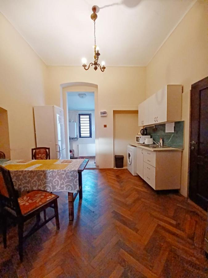 Aristocrat Vintage Apartment Брашов Экстерьер фото